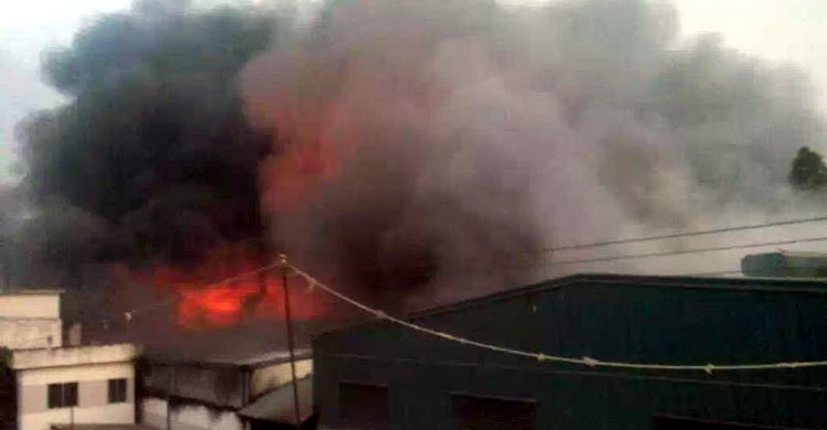 মির্জাপুরে সুতার কারখানায় অগ্নিকাণ্ডে শত কোটি টাকার ক্ষতি