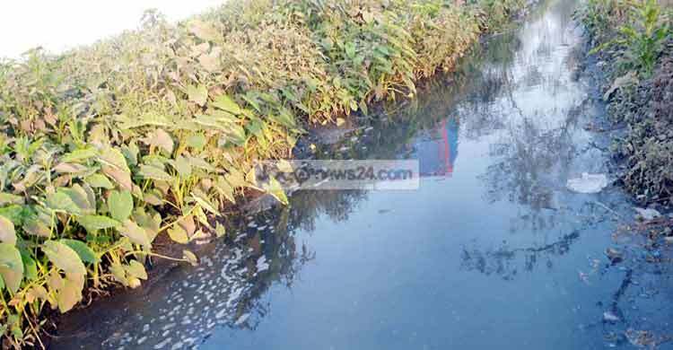 নওগাঁয় এসিআই কারখানার পানিতে হুমকির মুখে বোরো ক্ষেত