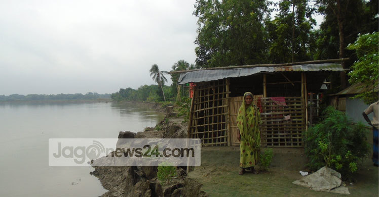 কালিয়ায় নদী ভাঙনে ৫০টি পরিবার দিশেহারা