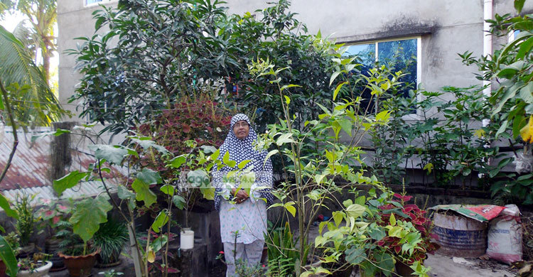 কৃষি বাগানে ছাদের কোনো ক্ষতি হয় না