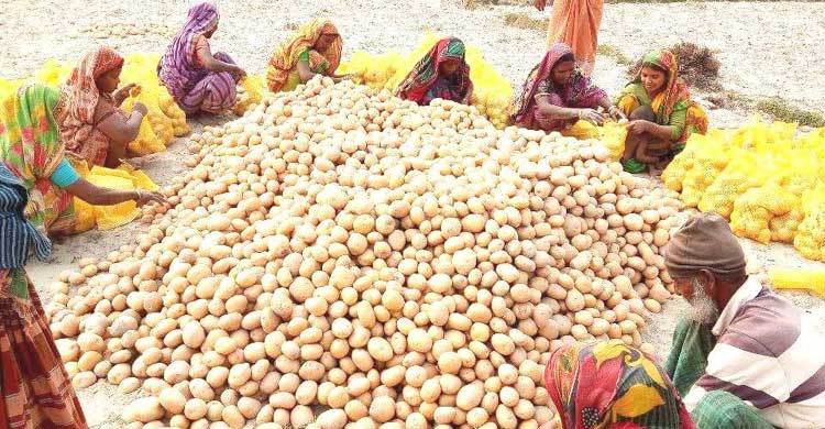 PRAN starts potato export for second year