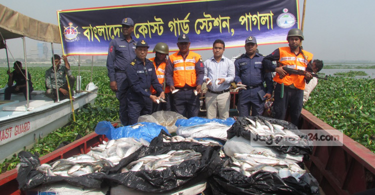 যাত্রীবাহী লঞ্চ থেকে ১৭০০ কেজি জাটকা জব্দ