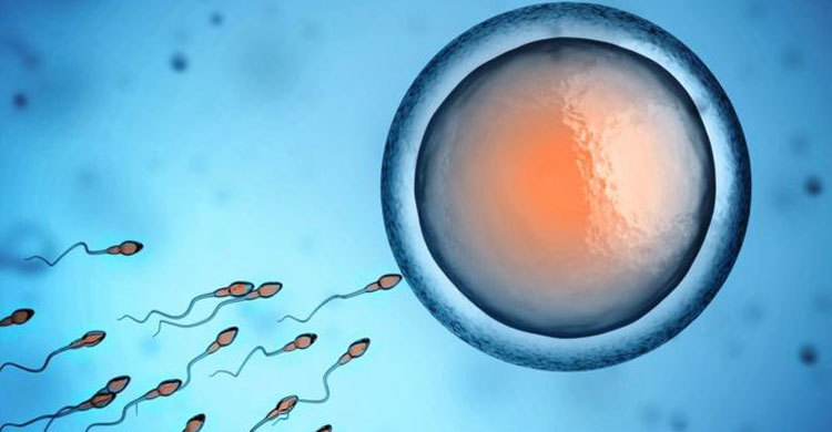 Birth control: Male contraceptive injection ‘shows promise’