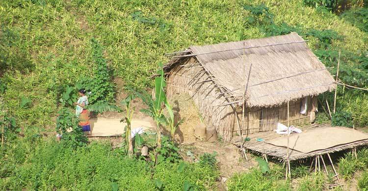 পাহাড়ে আদা চাষে চমক