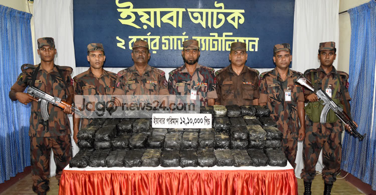 পানের বরজে ৩৬ কোটি টাকার ইয়াবা