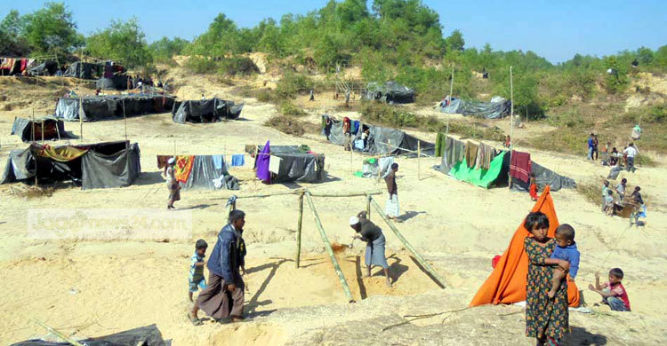 আসছে রোহিঙ্গা খাচ্ছে বনভূমি