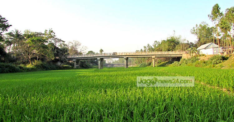 সিরাজগঞ্জে নদীর তলদেশে চলছে শস্য উৎপাদন