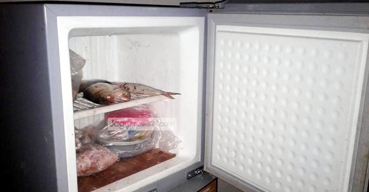 মৎস্য অফিসের ফ্রিজে মা ইলিশ