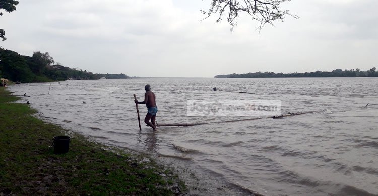 People manage livings by selling shrimp pollens in Debhata 