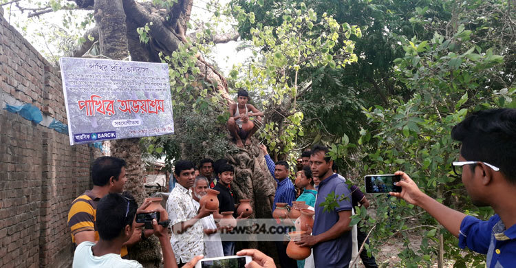 পাখির অভয়াশ্রম করা হলো বট গাছটি