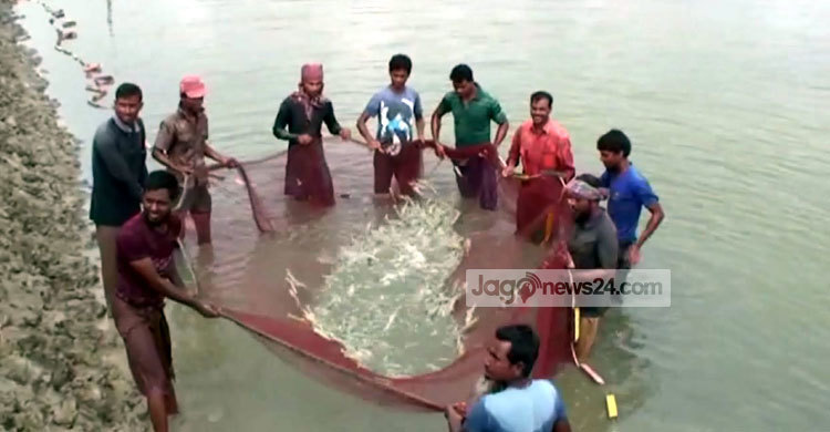 চিংড়ি রফতানি বন্ধ থাকায় হতাশ সাতক্ষীরার ঘের ব্যবসায়ীরা