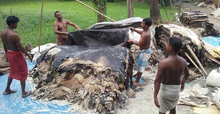দাম পাচ্ছে না শরীয়তপুরের চামড়া ব্যবসায়ীরা