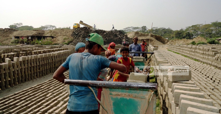 কৃষি জমিতে ইটভাটা, চলছে শিশুশ্রম