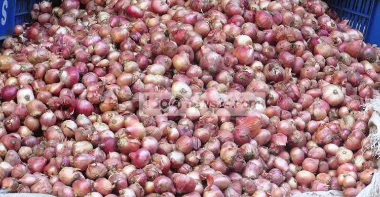 পেঁয়াজের বাম্পার ফলন সত্ত্বেও লোকসানে কৃষকরা