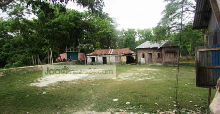 জাল দলিলে সমাজসেবার সম্পত্তি দখলের অভিযোগ