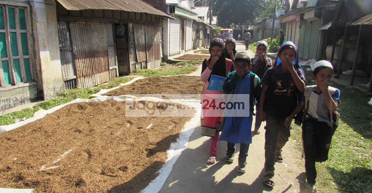 শরীয়তপুরী জর্দার গন্ধে অতিষ্ঠ মানুষ