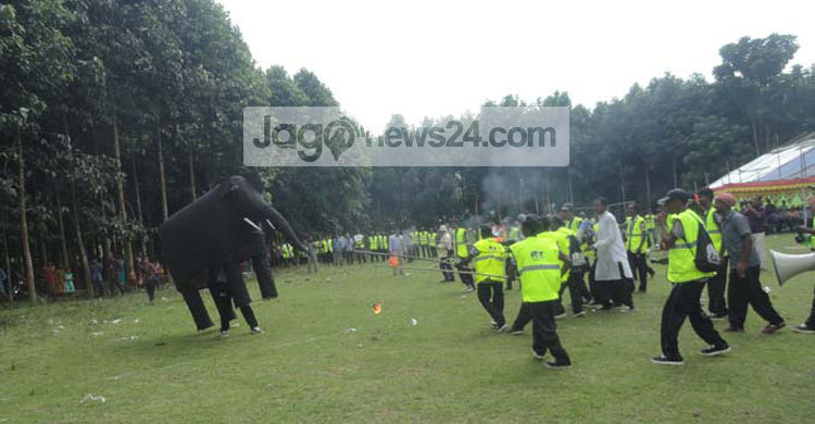 আসছে বন্যহাতি সুরক্ষায় অ্যাকশন প্ল্যান