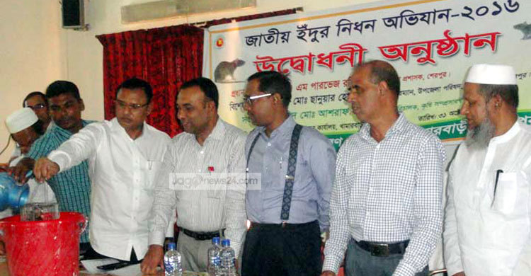 পানিতে চুবিয়ে ইঁদুরের মৃত্যুদণ্ড কার্যকর