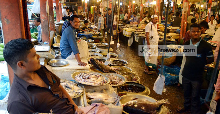 হাওরে বিষাক্ত মাছ : ক্রেতাশূন্য সিলেটের মাছবাজার