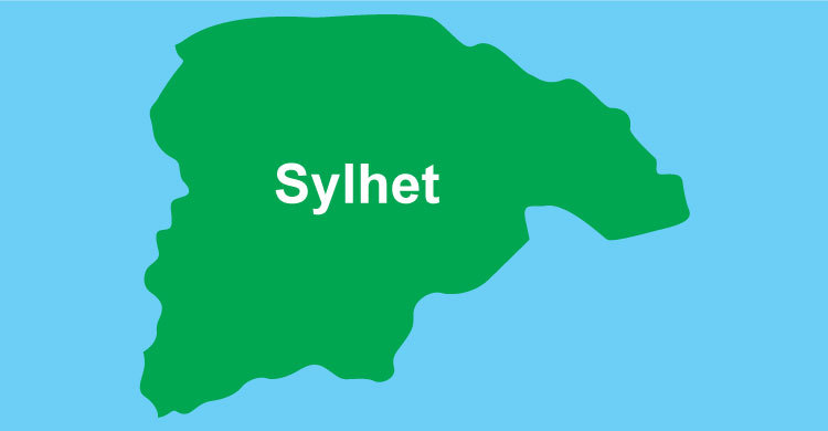 3 killed, 10 injured as bus falls into ditch