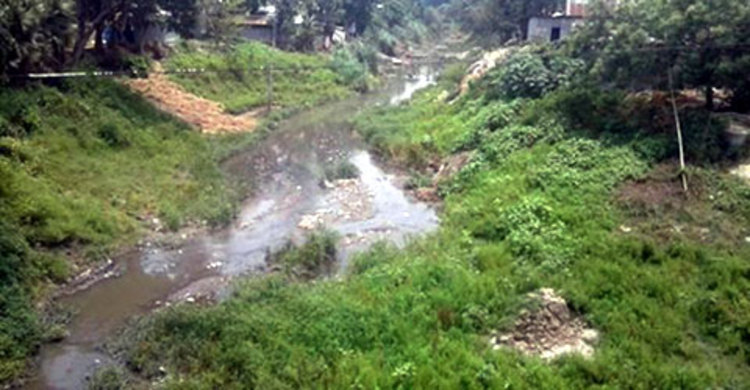 ভয়াবহ দূষণের শিকার লাঙ্গুলিয়া নদী