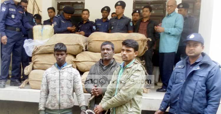 ৫ মণ গাঁজাসহ তিনজন আটক
