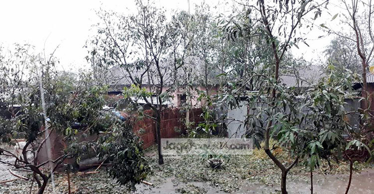 ঠাকুরগাঁওয়ে শিলাবৃষ্টিতে ঘর-বাড়ি ও ফসলের ব্যাপক ক্ষতি