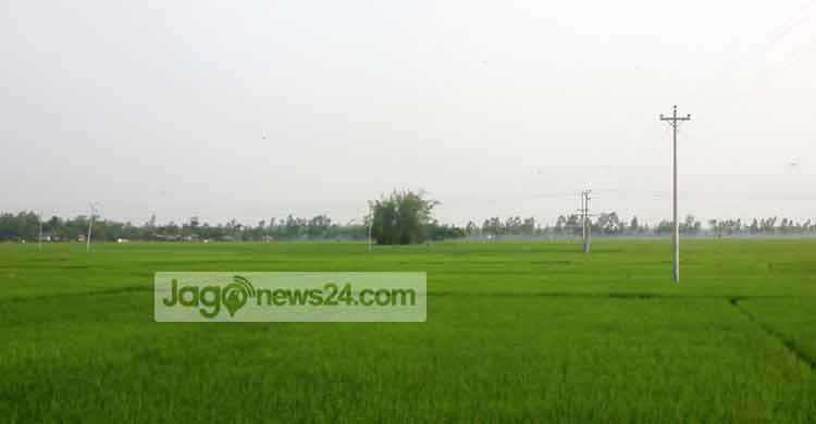 ঠাকুরগাঁওয়ে কৃষিভিত্তিক ইপিজেড নির্মাণে আশার সঞ্চার