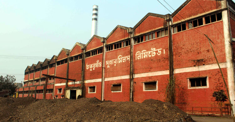 চিনিকলের ছাইয়ে অতিষ্ঠ এলাকার মানুষ