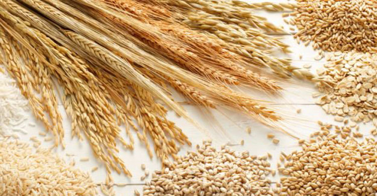 Whole grain diet may reduce risk of heart disease