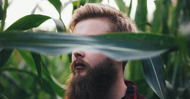 Men with beards are more attractive - officially
