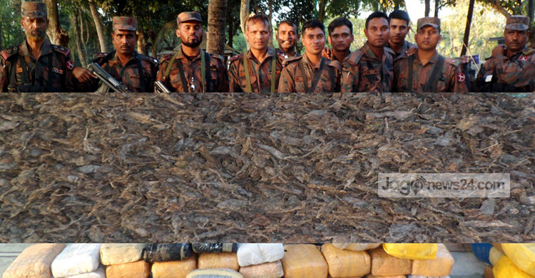 বেনাপোলে মাটির গর্তে ২২২ কেজি গাঁজা