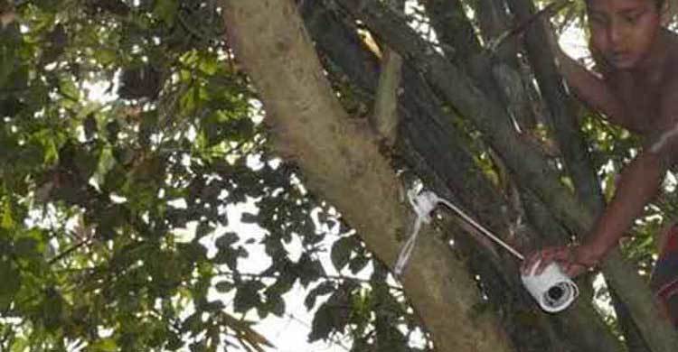 বাড়িতে সিসি ক্যামেরা বসিয়ে মাদক ব্যবসা, মূল হোতা গ্রেফতার