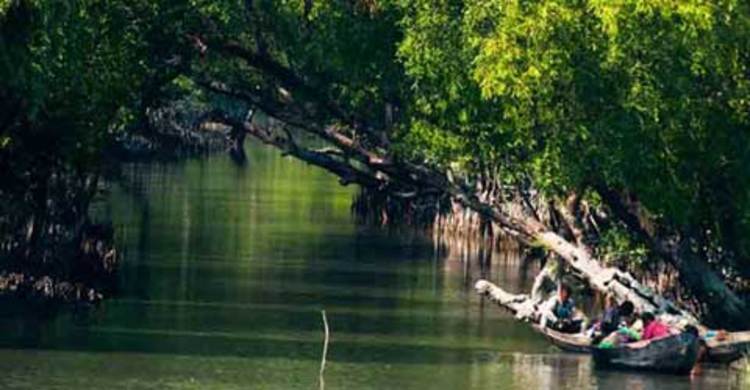 সুন্দরবনে তিন জেলে অপহরণ