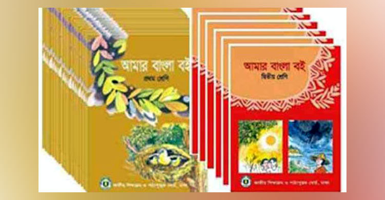 লক্ষ্মীপুরে প্রাথমিকের ৮ লাখ বই সঙ্কট