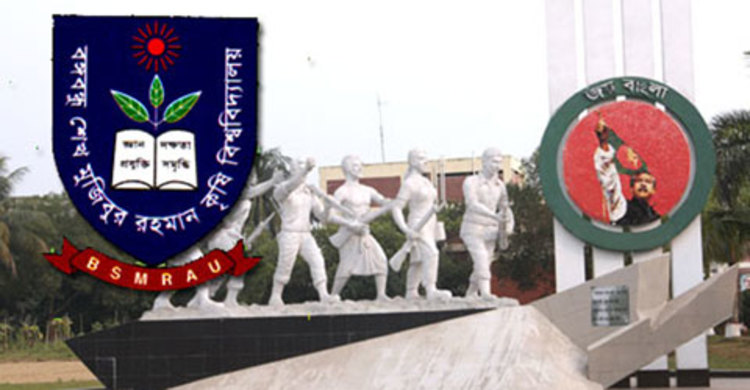 বিএস কৃষি অর্থনীতি অনুষদের অপেক্ষমাণ তালিকা প্রকাশ