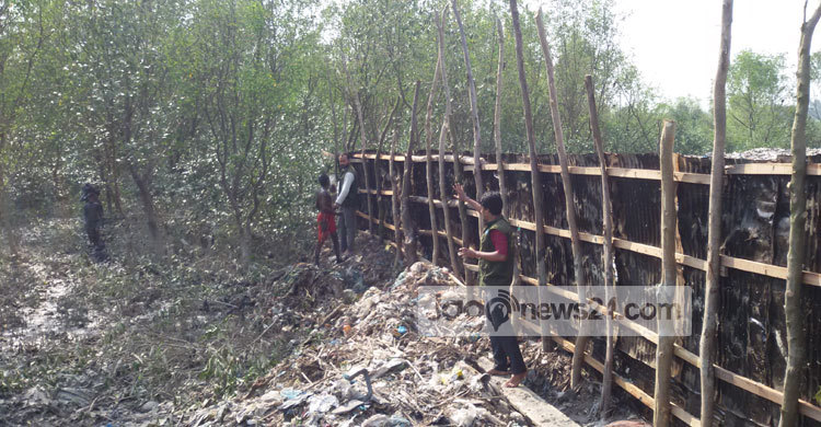 বাঁকখালীর তীর দখলে প্যারাবনে টিনের ঘেরা