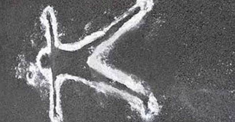 গাছ থেকে পড়ে শ্রমিকের মৃত্যু