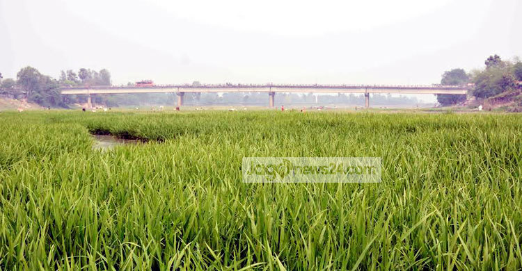 দিনাজপুরের ১৮ নদ-নদী প্রায় বিলীন