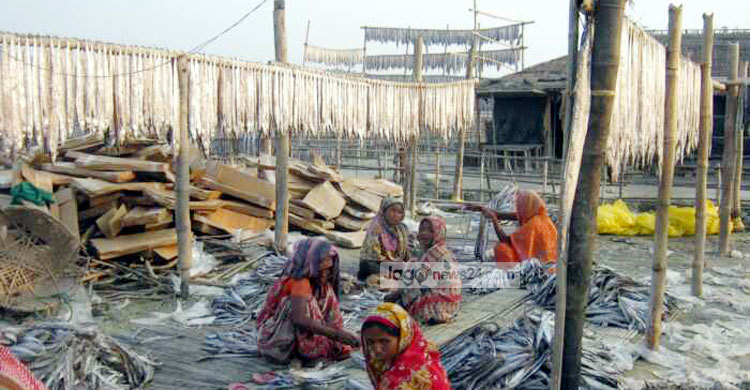 কক্সবাজারে চলছে শুঁটকি উৎপাদন উৎসব