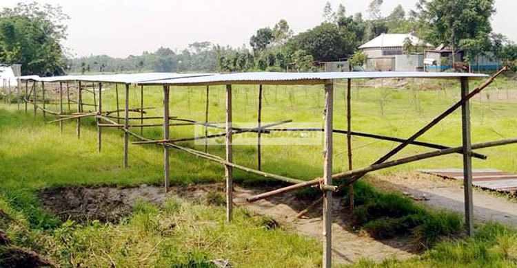 ভূমি অফিসের জায়গা দখল করে ঘর তুললেন প্রভাবশালীরা