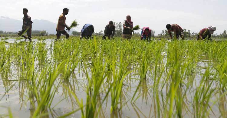 Subsidy to be reduced in next FY 