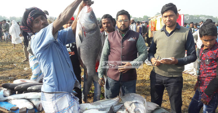 জামাইদের মাছের মেলা