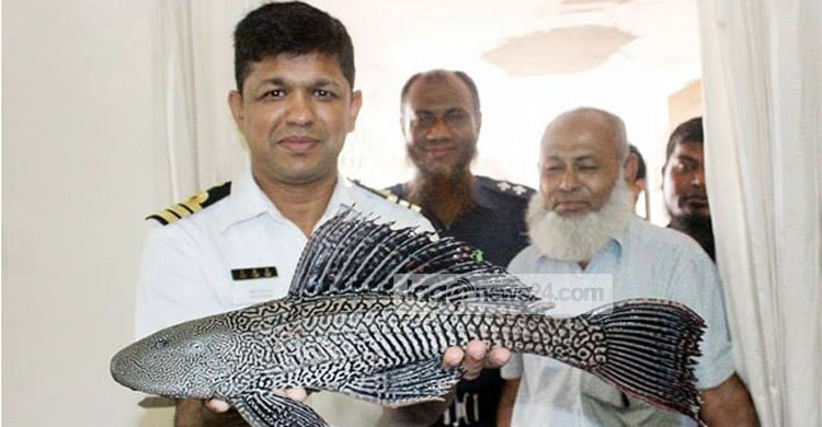 কাপ্তাই হ্রদে পাওয়া গেল দুর্লভ মাছ