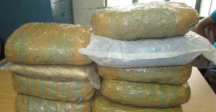 বিজয়নগরে ৭৬ কেজি গাঁজা উদ্ধার