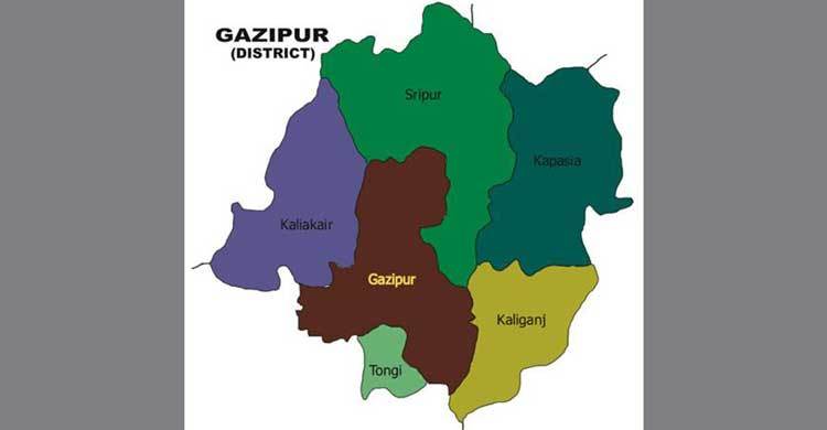 2 brothers die after inhaling toxic gas in Gazipur