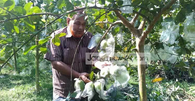 নেশার পেয়ারা বাগানে সফল নুরুল হক