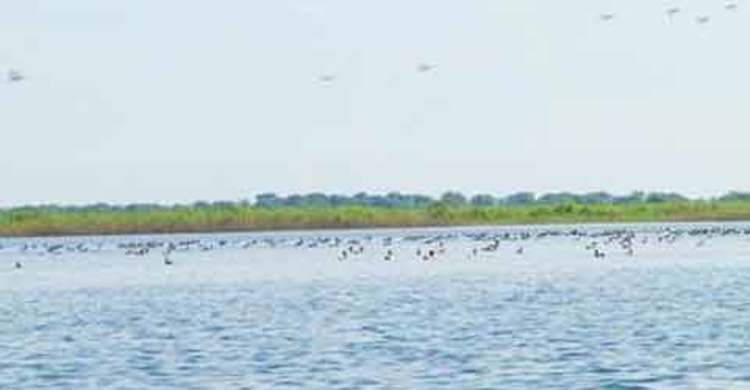 টাঙ্গুয়ার হাওরে নৌকাডুবি : বাবা-ছেলের মরদেহ উদ্ধার