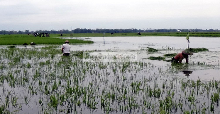 হাওর ও জলাভূমি উন্নয়ন থেকে বঞ্চিত হাকালুকি