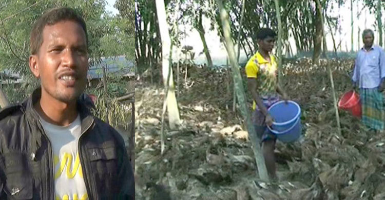 জয়পুরহাটে হাঁস পালনে স্বাবলম্বী বিকাশ